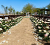 Playa Blanca Garden Decoration